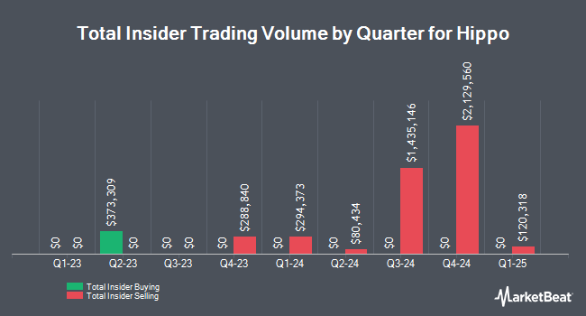 Insider Buying and Selling by Quarter for Hippo (NYSE:HIPO)