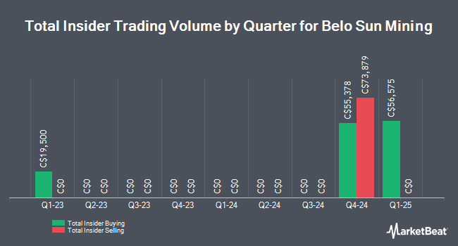 Insider Buying and Selling by Quarter for Belo Sun Mining (TSE:BSX)