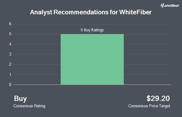 Analyst Recommendations for WhiteFiber (NASDAQ:WYFI)