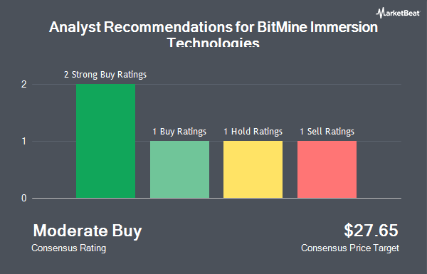 Analyst Recommendations for BitMine Immersion Technologies (NYSE:BMNR)