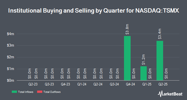 Institutional Ownership by Quarter for Direxion Daily TSM Bull 2X Shares (NASDAQ:TSMX)